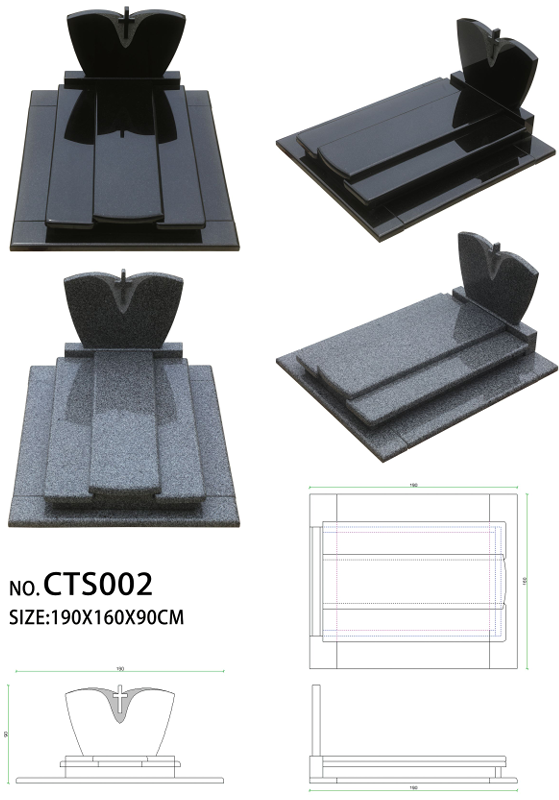 CTS002