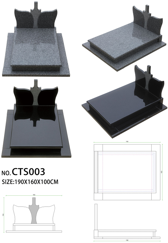 CTS003