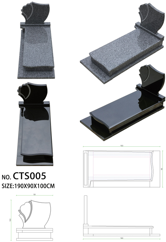 CTS005