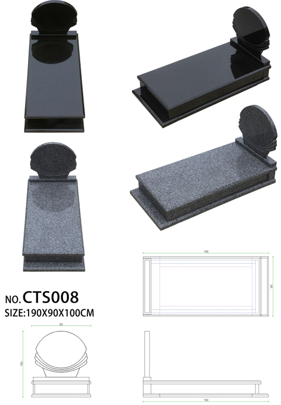 CTS008