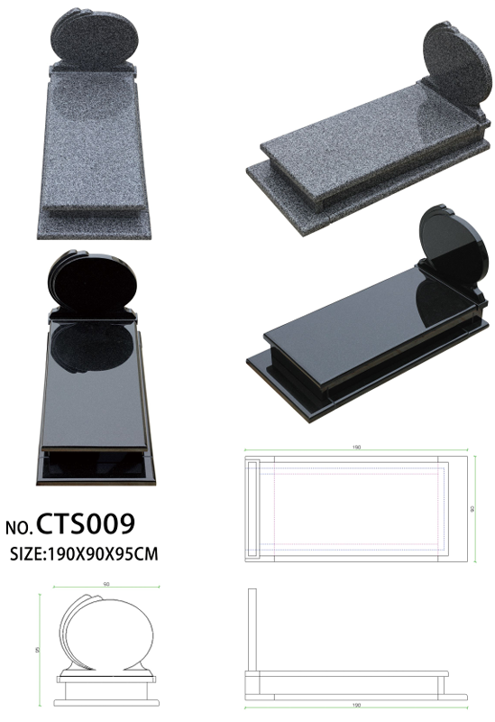 CTS009
