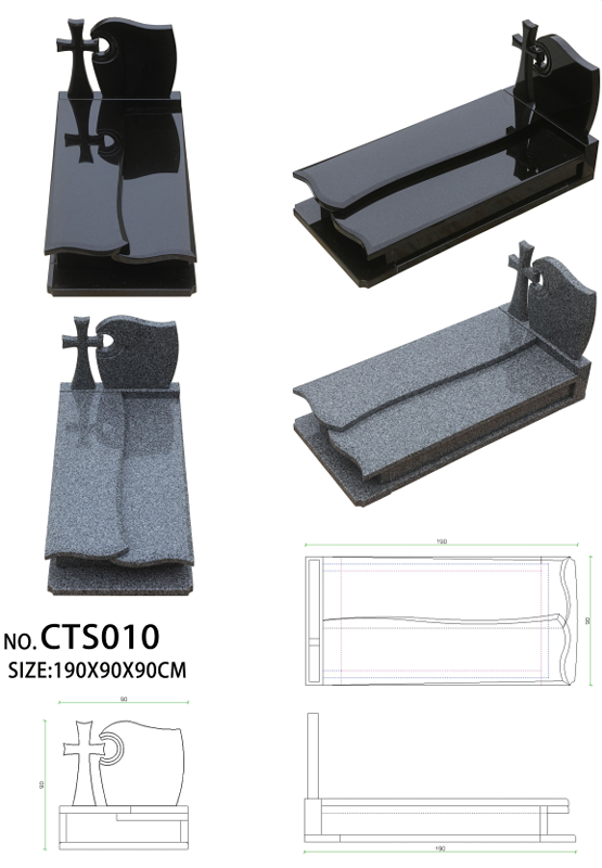 CTS010