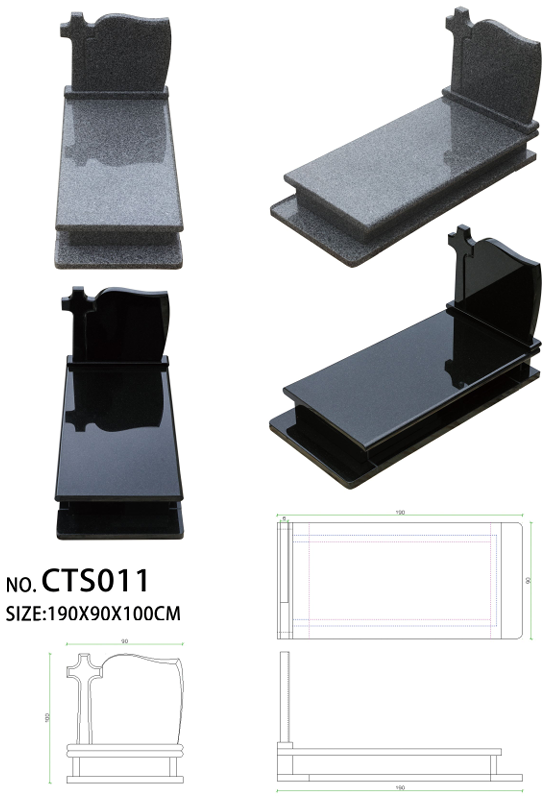 CTS011