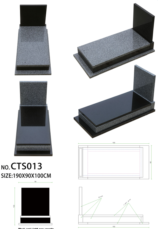 CTS013