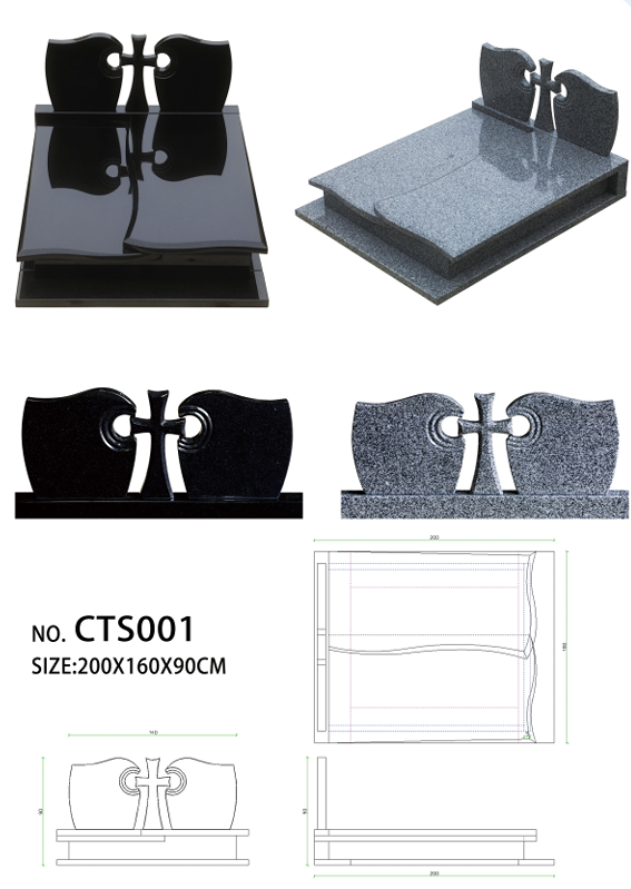 CTS001
